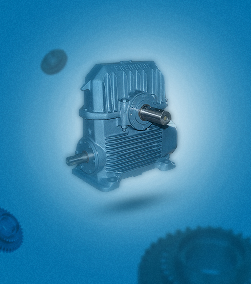 Adaptable Worm Gear Boxes, Solid Foot Gearbox, Heavy Duty Gearbox  Manufacturers India
